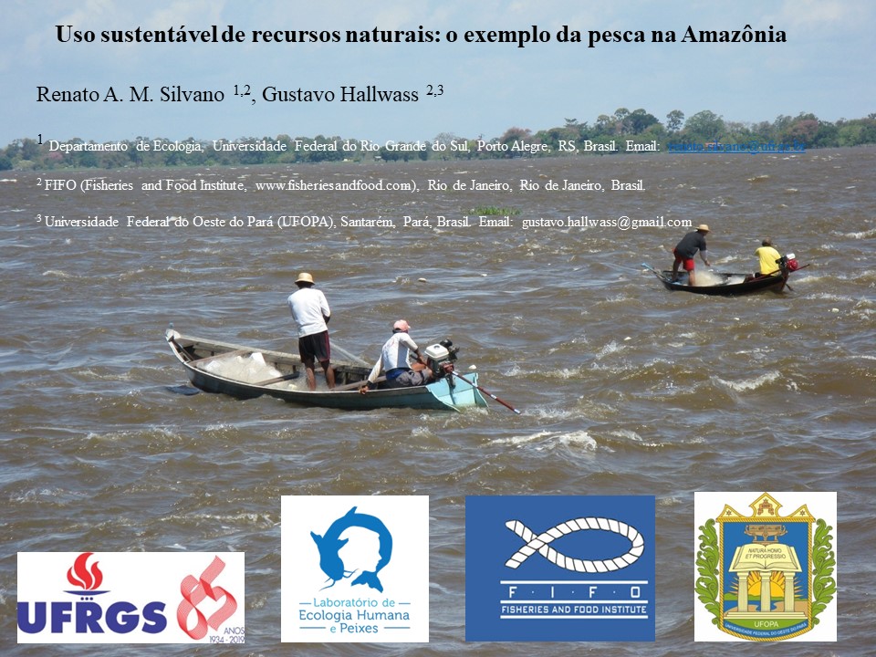 Pescadores artesanais pescando com redes malhadeiras no Baixo Rio Amazonas