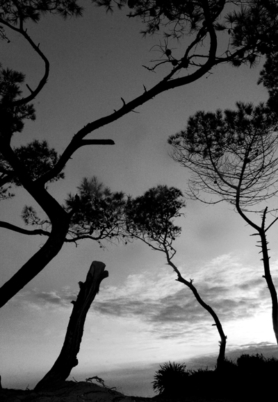 Fotografía Jordi Vivaldi Piera